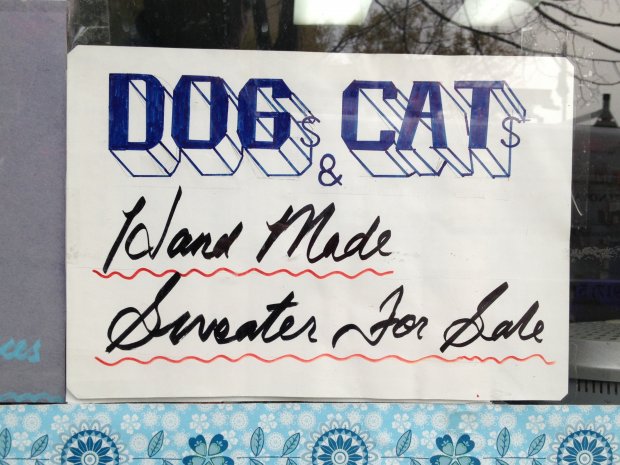 Dogs & Cats
