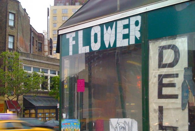 Flower