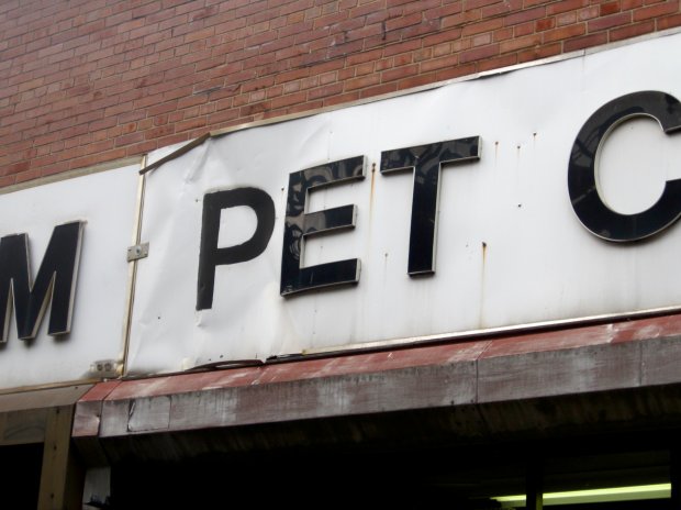 Pet